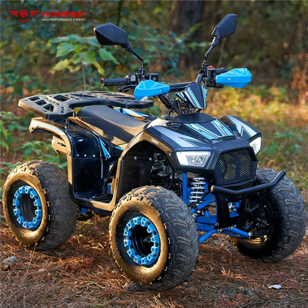 Gas Powered Kids ATV