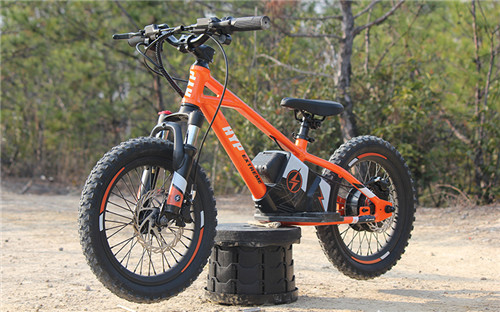 electric-balance-e-bike-1