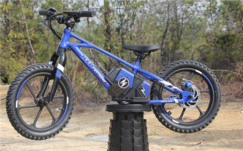 electric-balance-e-bike-2